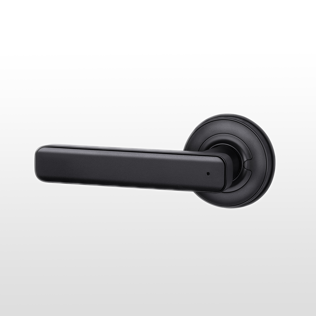 MUMIN Smart Doorknob