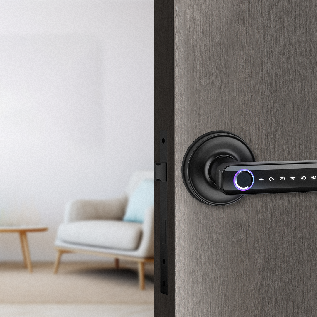 MUMIN Smart Doorknob
